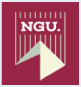 Newgiza University Egypt