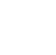 International Medical College